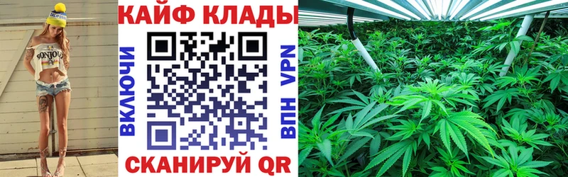 Виды наркоты Людиново Cocaine НБОМе Каннабис