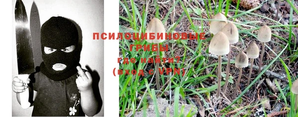 гидра Краснотурьинск