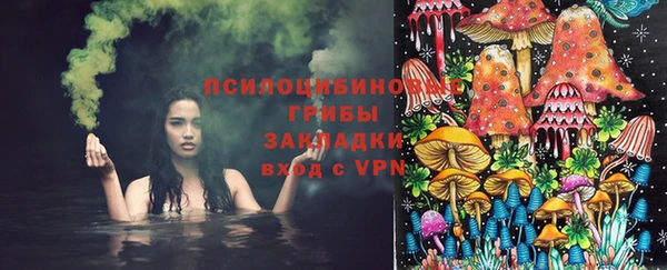 прущая мука Корсаков