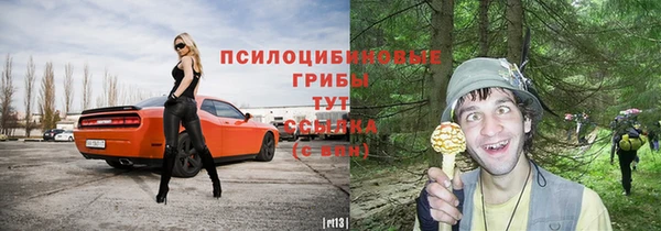 гашик Куйбышев