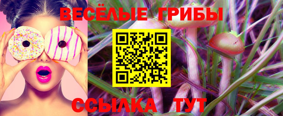 Псилоцибиновые грибы Magic Shrooms  Вход с VPN  Людиново 